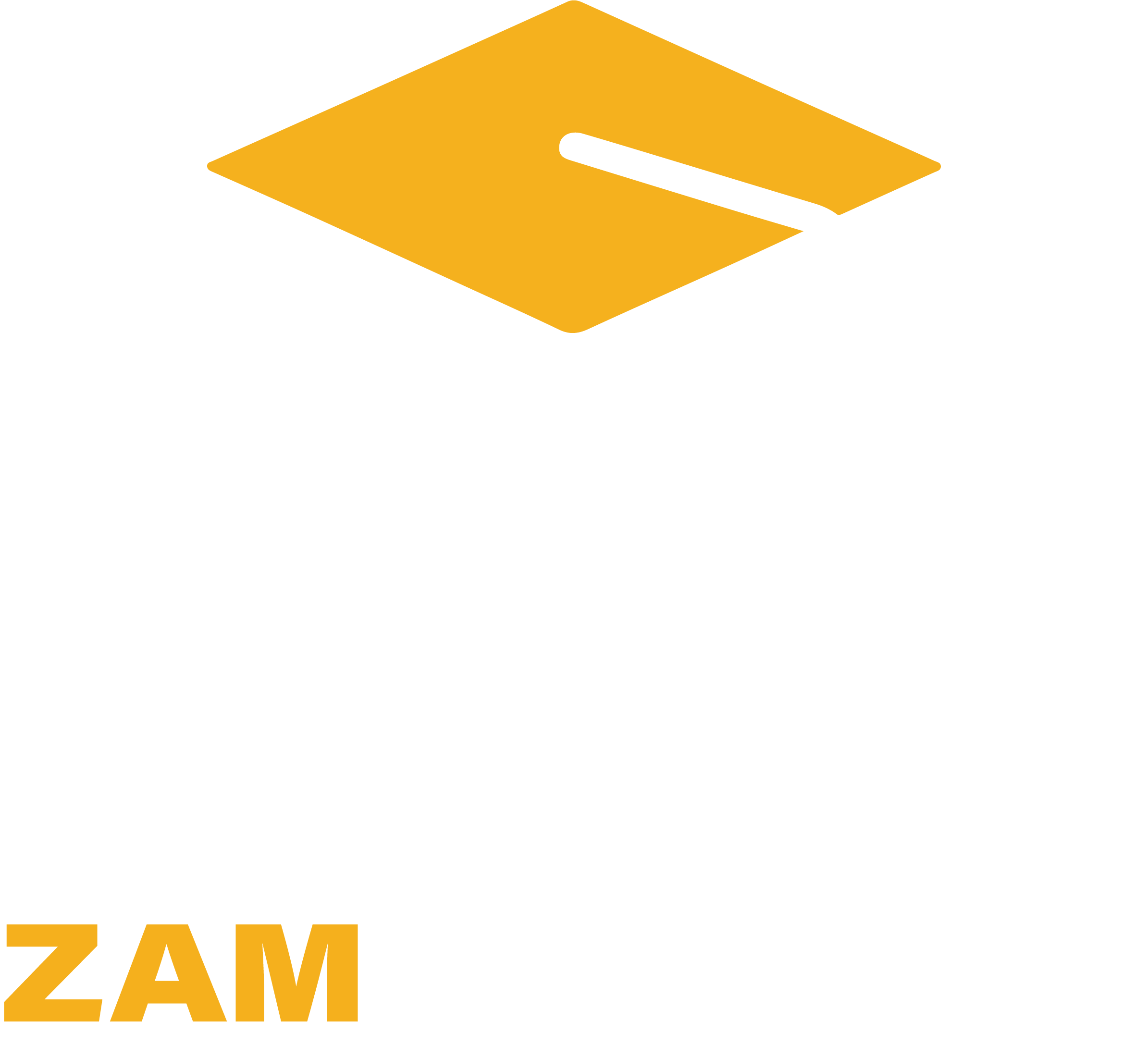 ZamSuccess logo